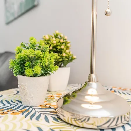 Monko Palmeras Torremolinos