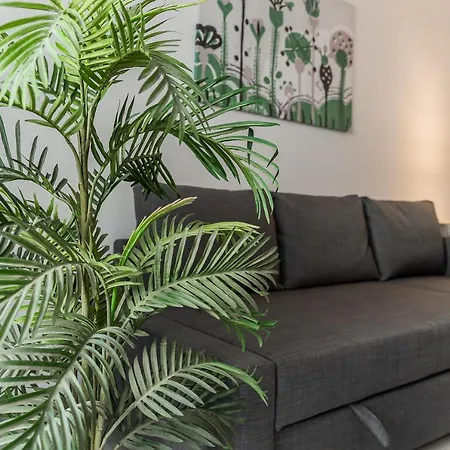 Monko Palmeras Apartament Torremolinos
